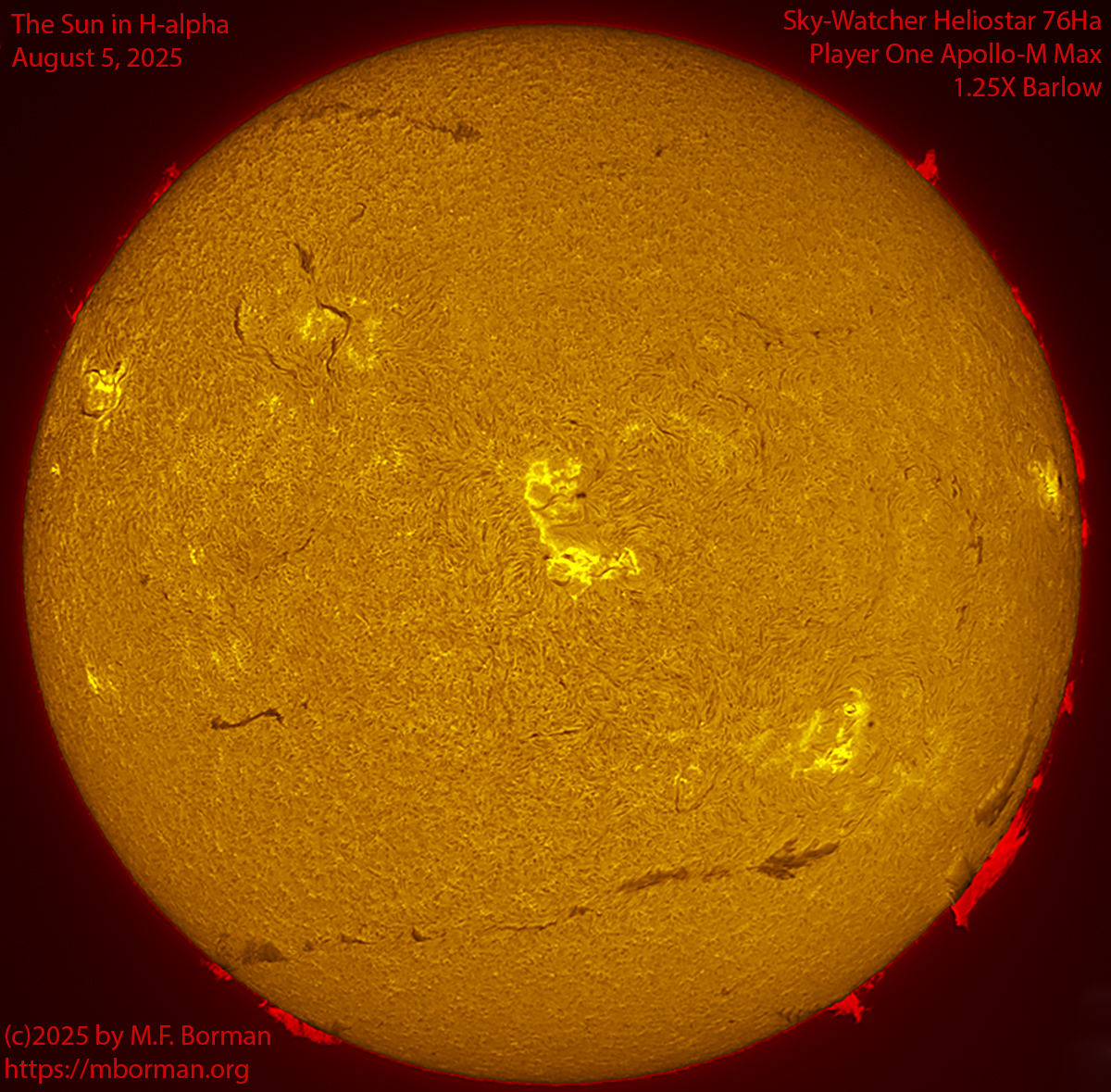 Solar image in h-alpha 08/05/25