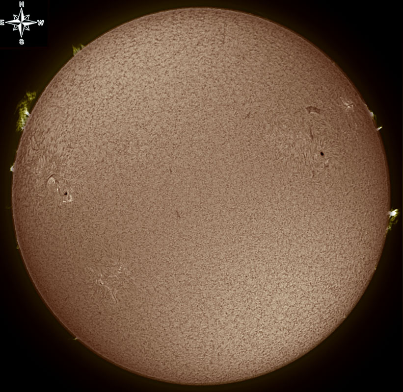 Solar Disk in h-alpha 8/6/2010