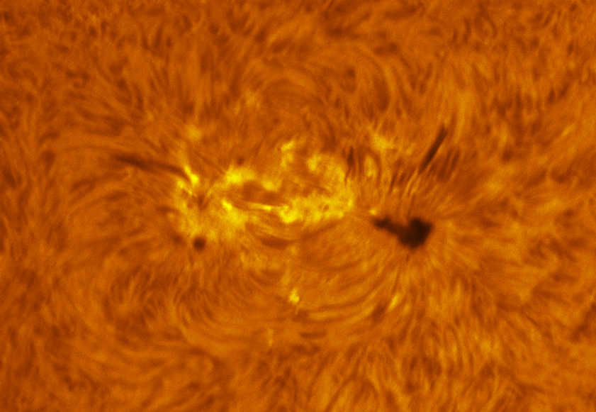 Sunspot 2396 in h-alpha 08/08/2015