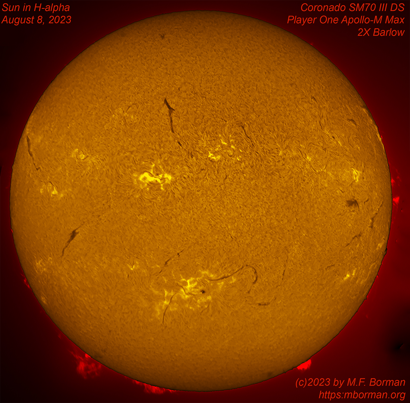 Solar disk in h-alpha 08/08/2023