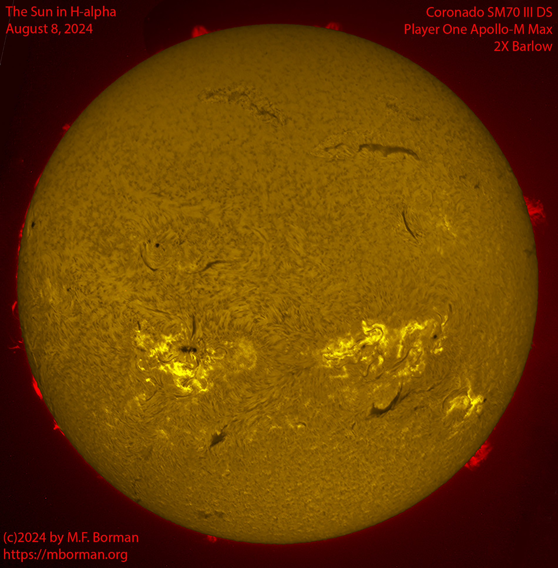 Solar image in h-alpha 08/08/24