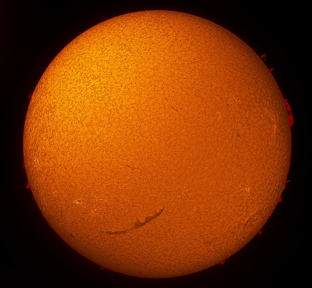 Solar Disk in h-alpha 08/10/2013