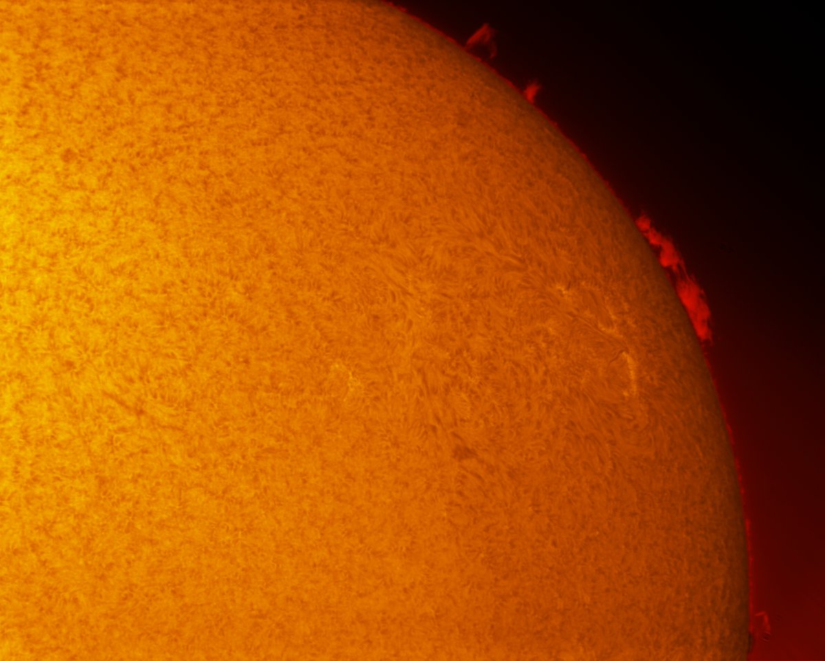 Solar Prominences in h-alpha 08/10/2013