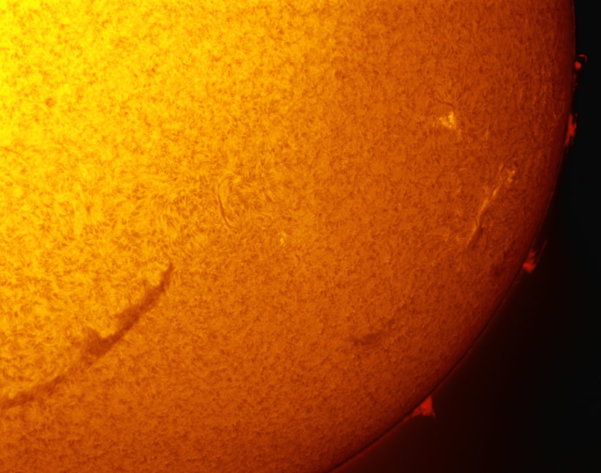 Solar Prominences in h-alpha 08/10/2013