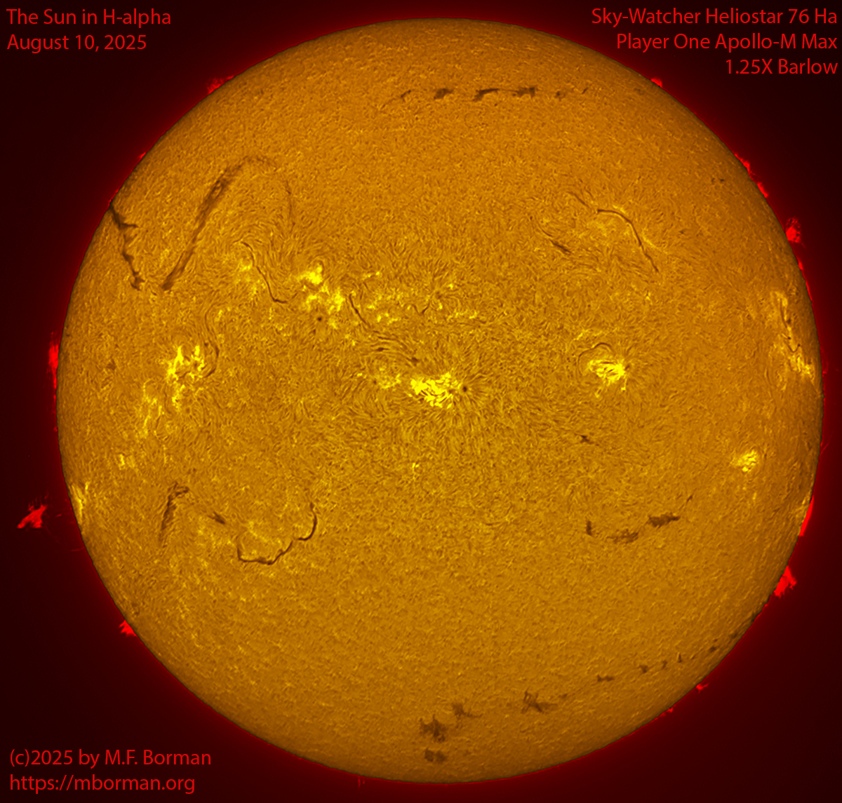 Solar image in h-alpha 08/10/25