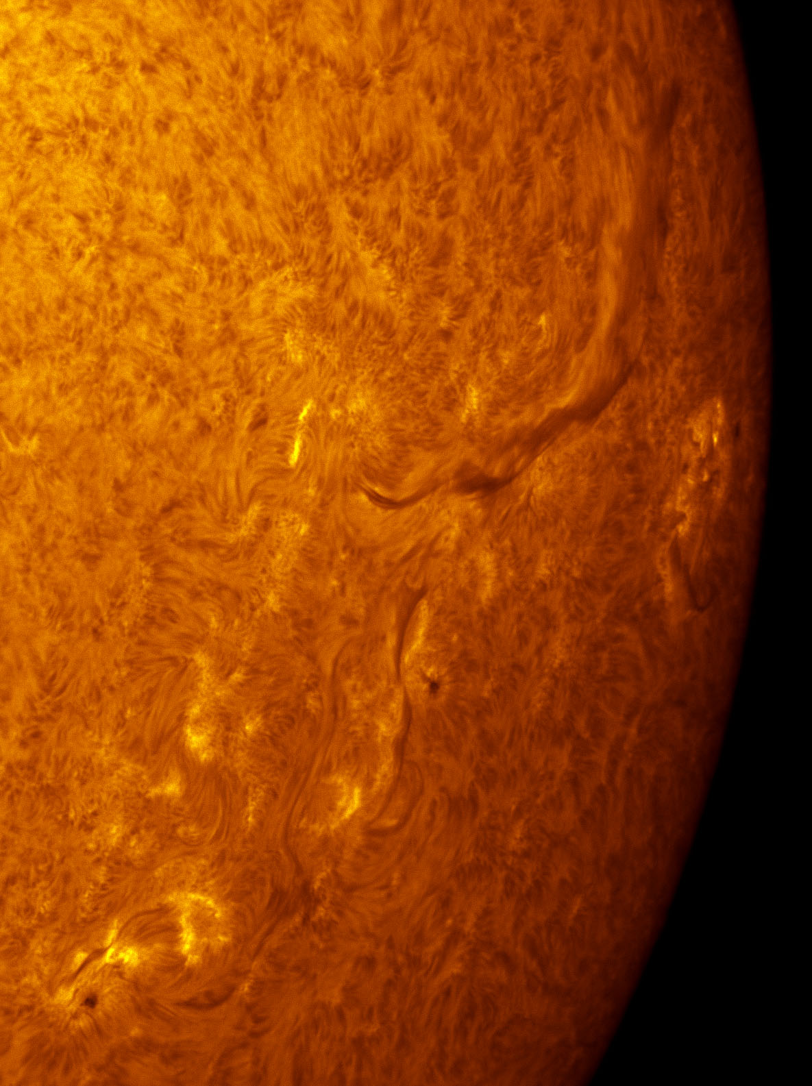 Sunspots 1538, 1539, 1540, 1541, and 1544 in h-alpha 08/11/2012