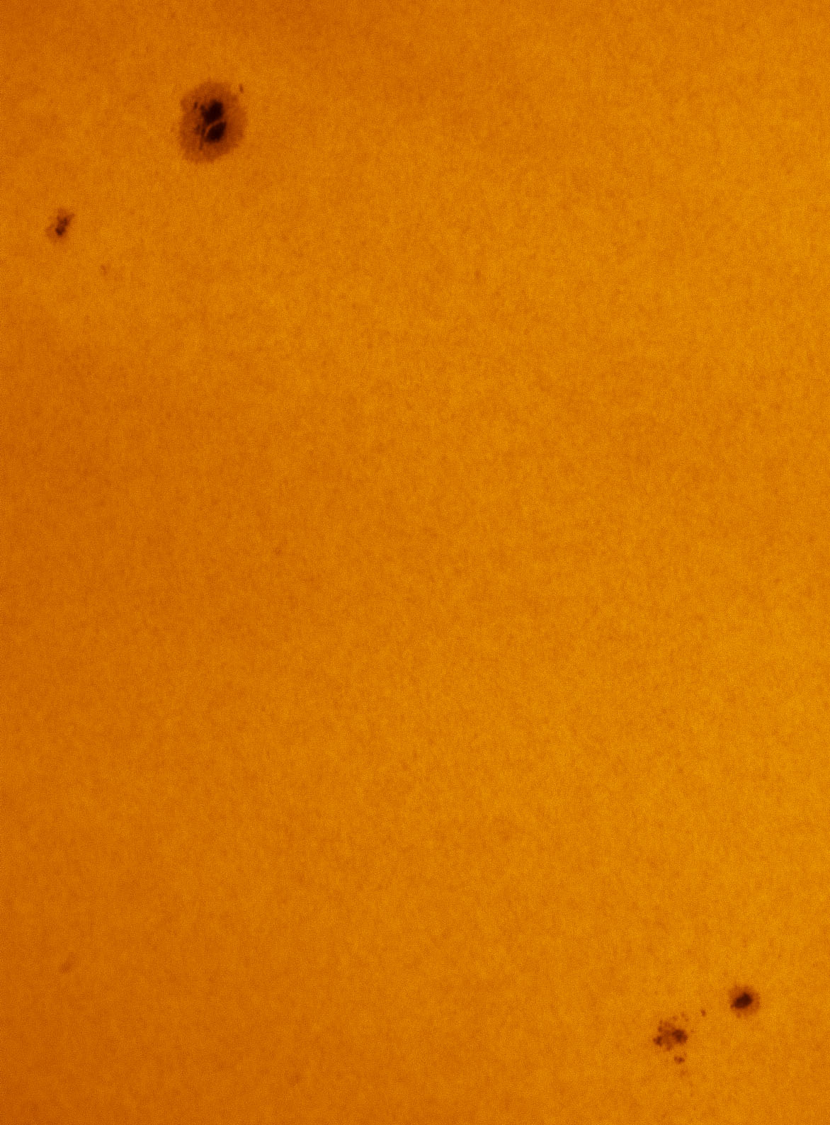 Sunspots 1542 and 1543 in white light 08/11/2012