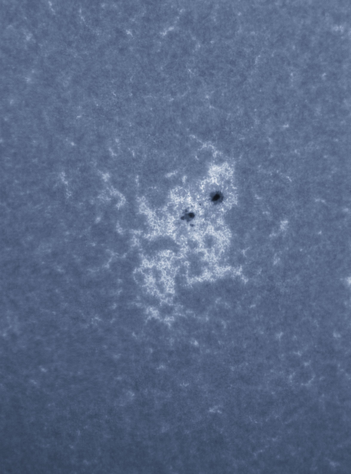 Sunspot 1542 in CaK 08/11/2012