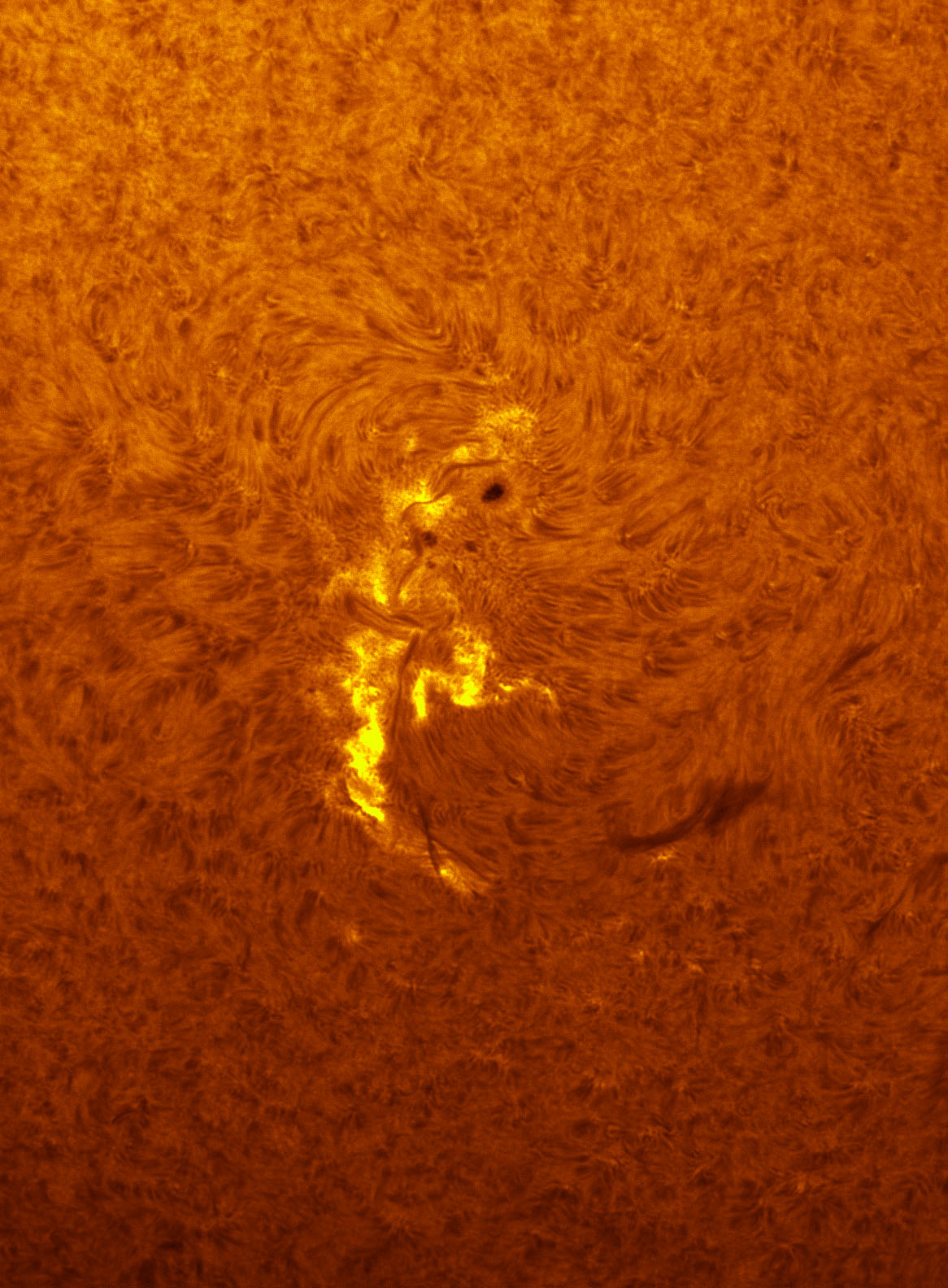 Sunspot 1542 in h-alpha 08/11/2012