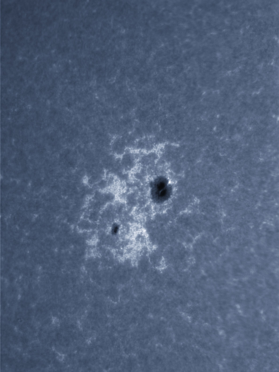 Sunspot 1543 in CaK 08/11/2012