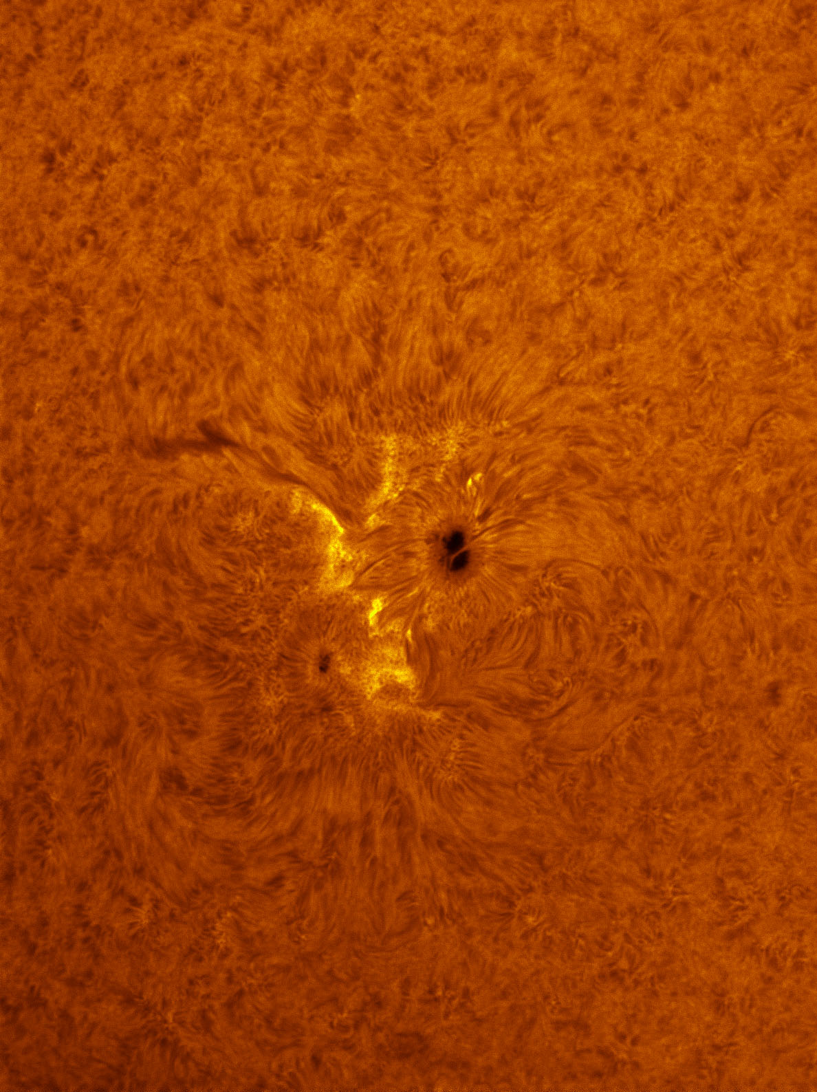 Sunspot 1543 in h-alpha 08/11/2012