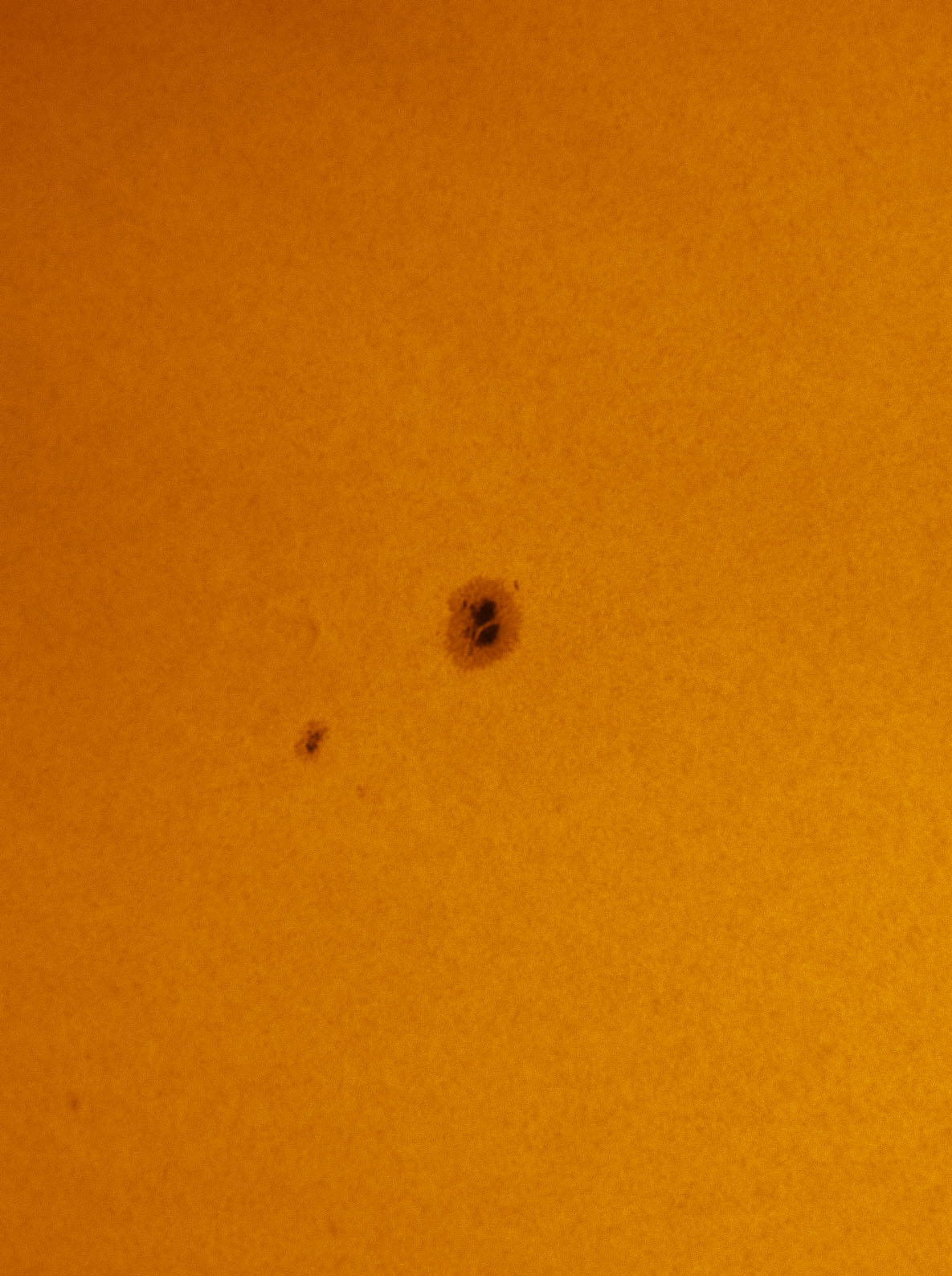 Sunspot 1543 in white light 08/11/2012