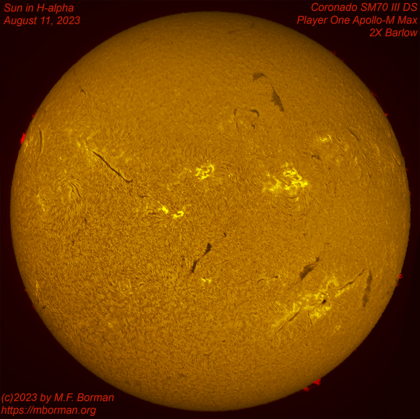 Solar disk in h-alpha 08/11/2023