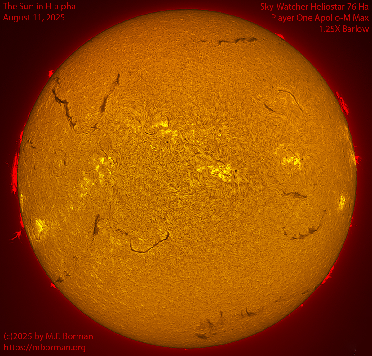 Solar image in h-alpha 08/11/25