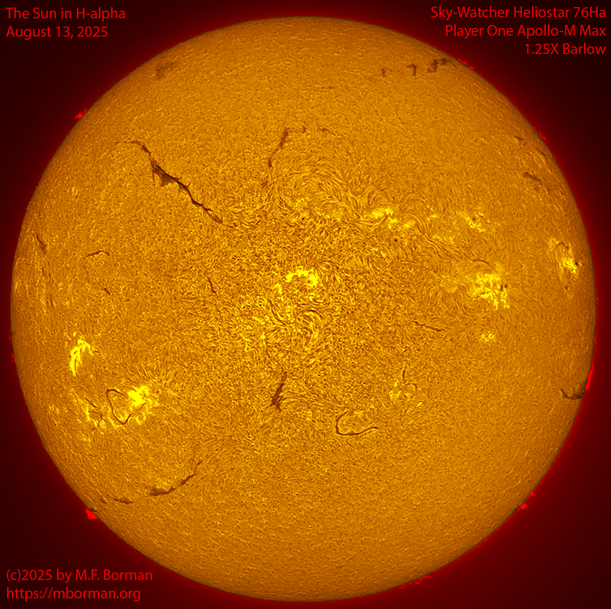Solar image in h-alpha 08/13/25