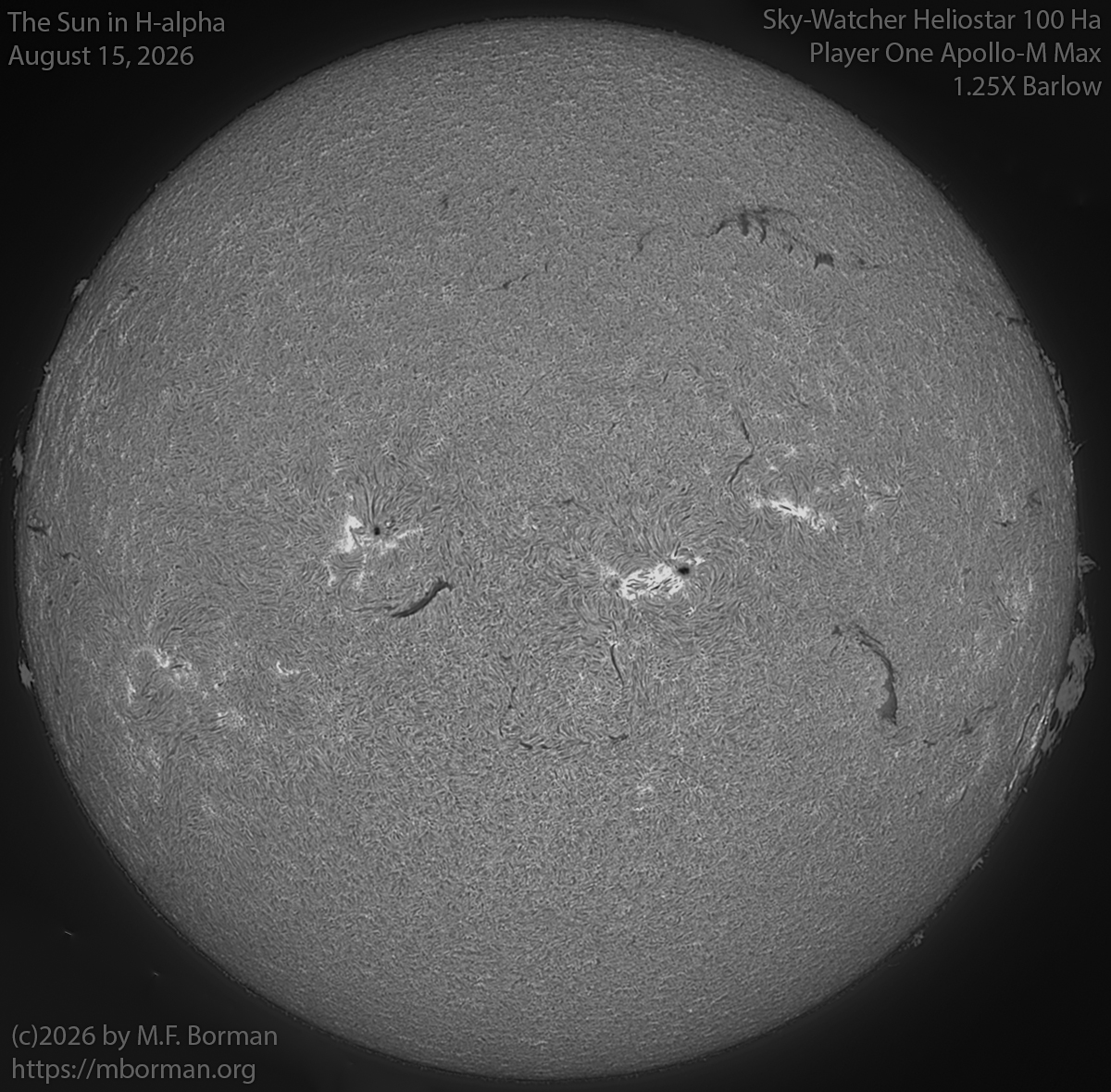 Solar image in h-alpha 08/15/26