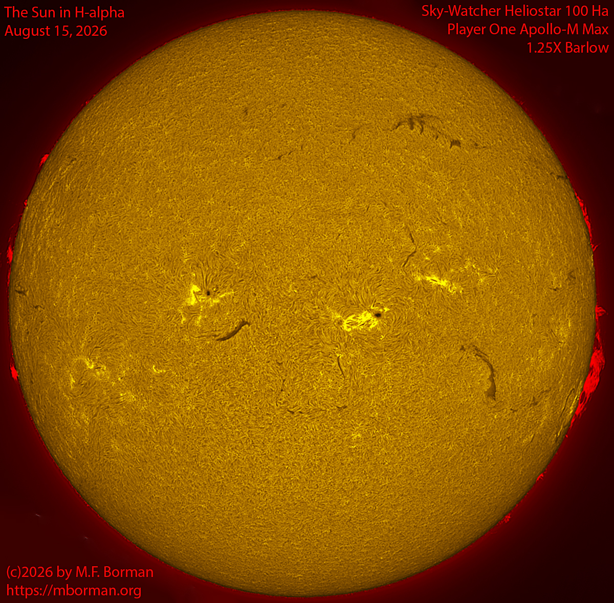 Solar image in h-alpha 08/15/26