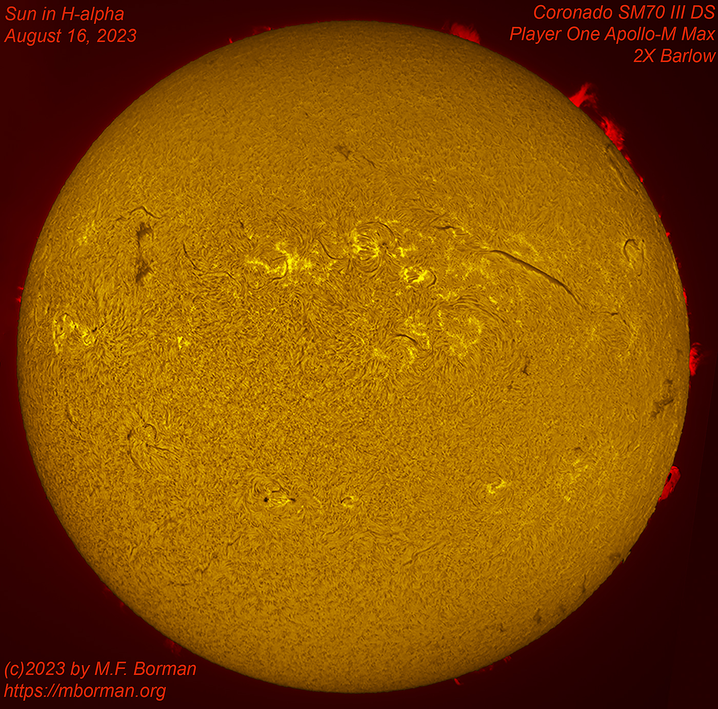 Solar disk in h-alpha 08/16/2023
