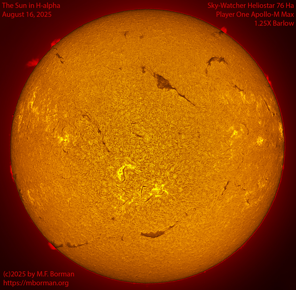 Solar image in h-alpha 08/16/25