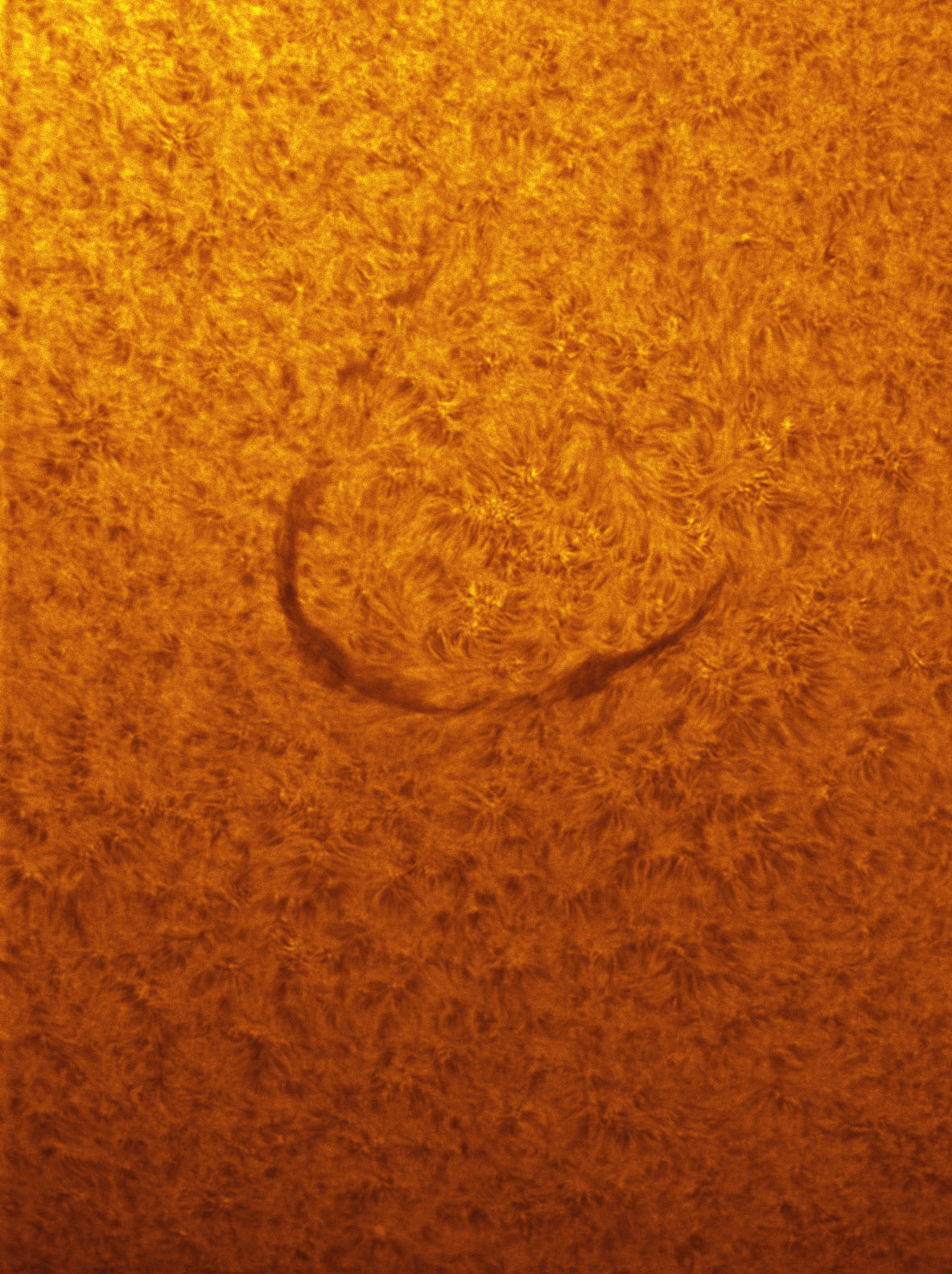 Filament in h-alpha 08/17/2012