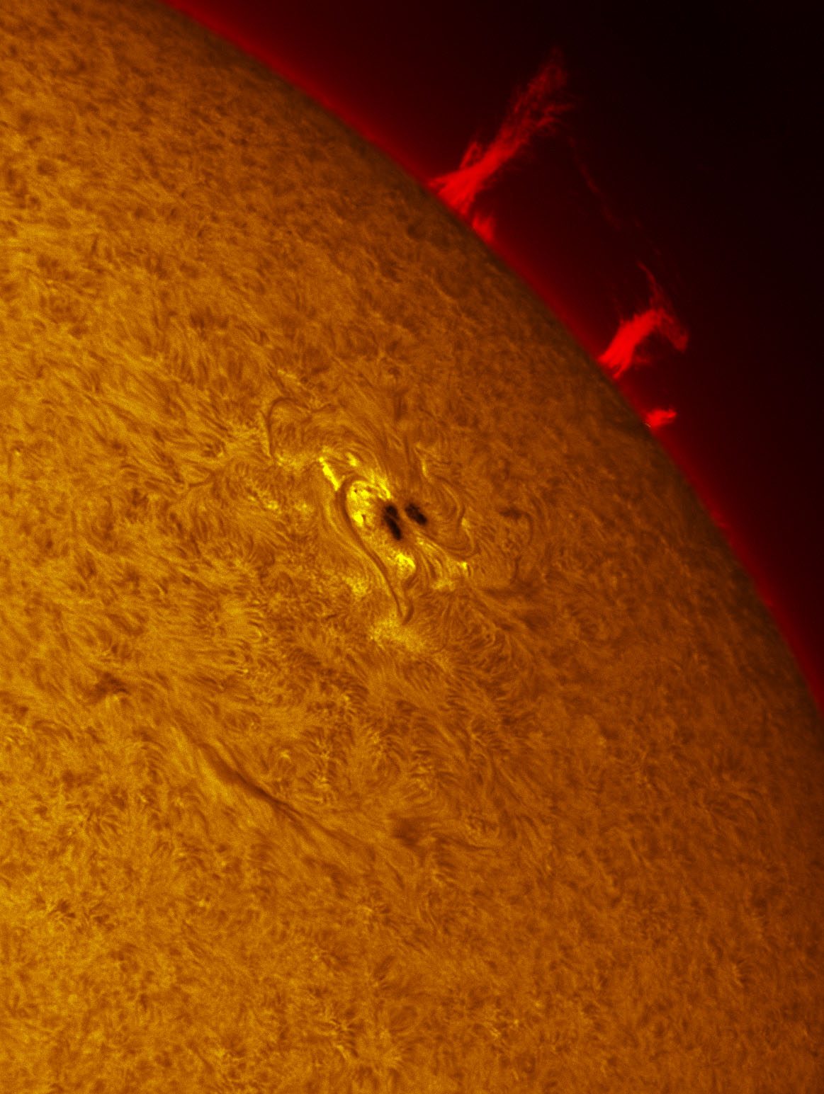 Sunspot 1543 and a prominence in h-alpha 08/17/2012