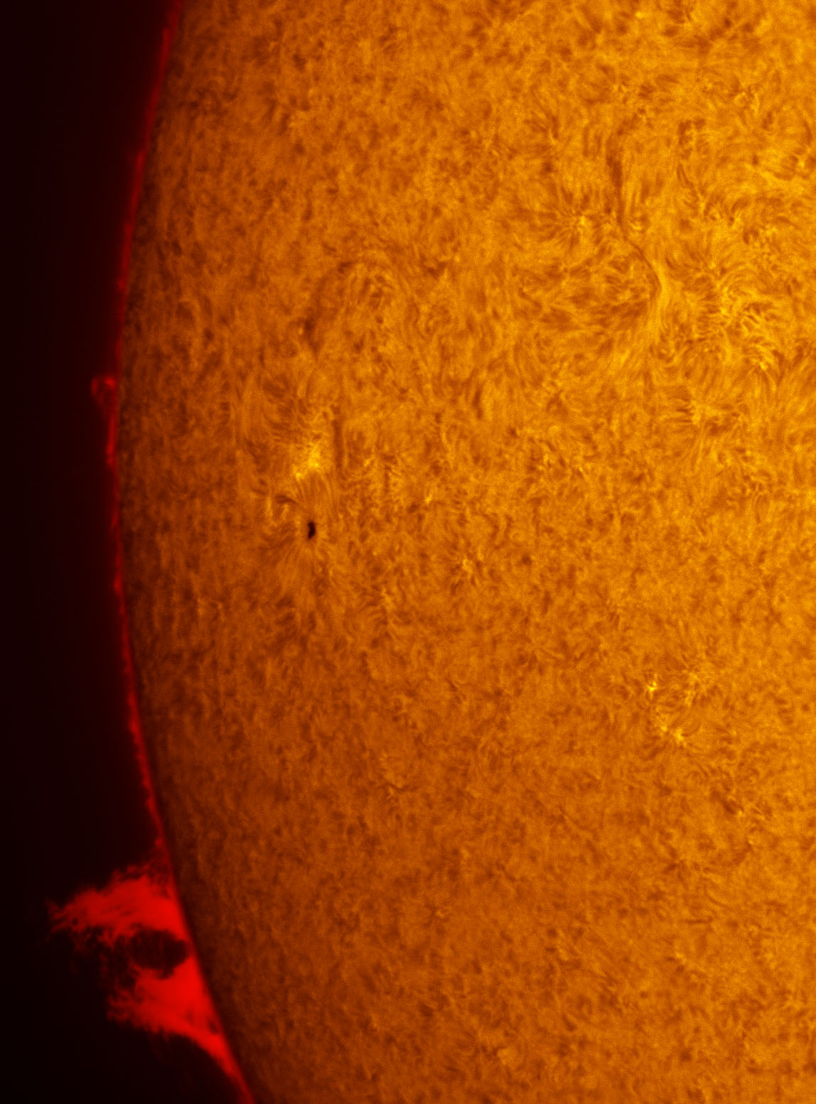 Sunspot 1546 and a prominence in h-alpha 08/17/2012