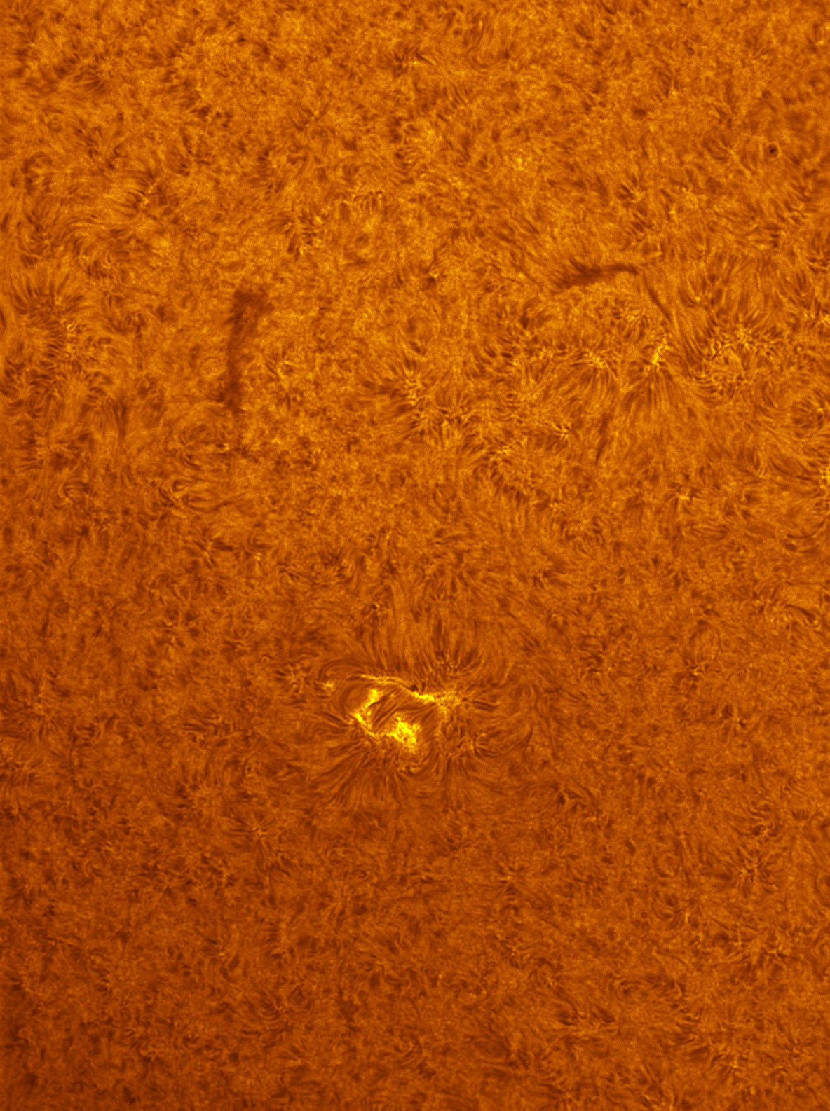 New Sunspot in h-alpha 08/17/2012