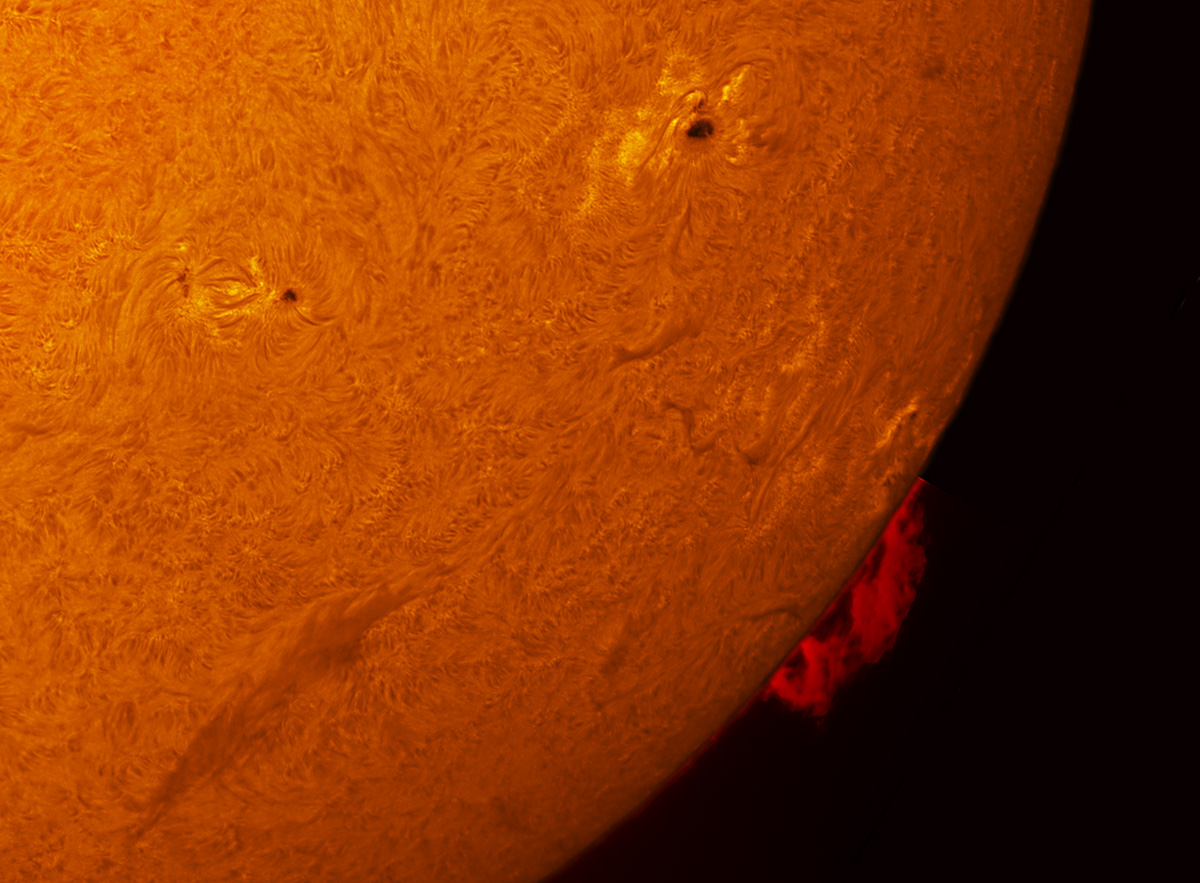 Sunspots 1818, and 1824 in h-alpha 08/18/2013