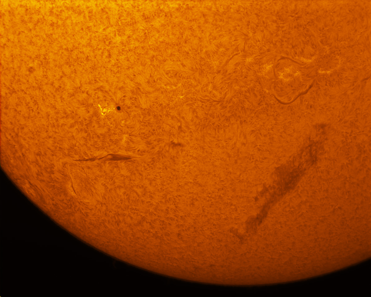 Sunspot 1823 and a prominence in h-alpha 08/18/2013