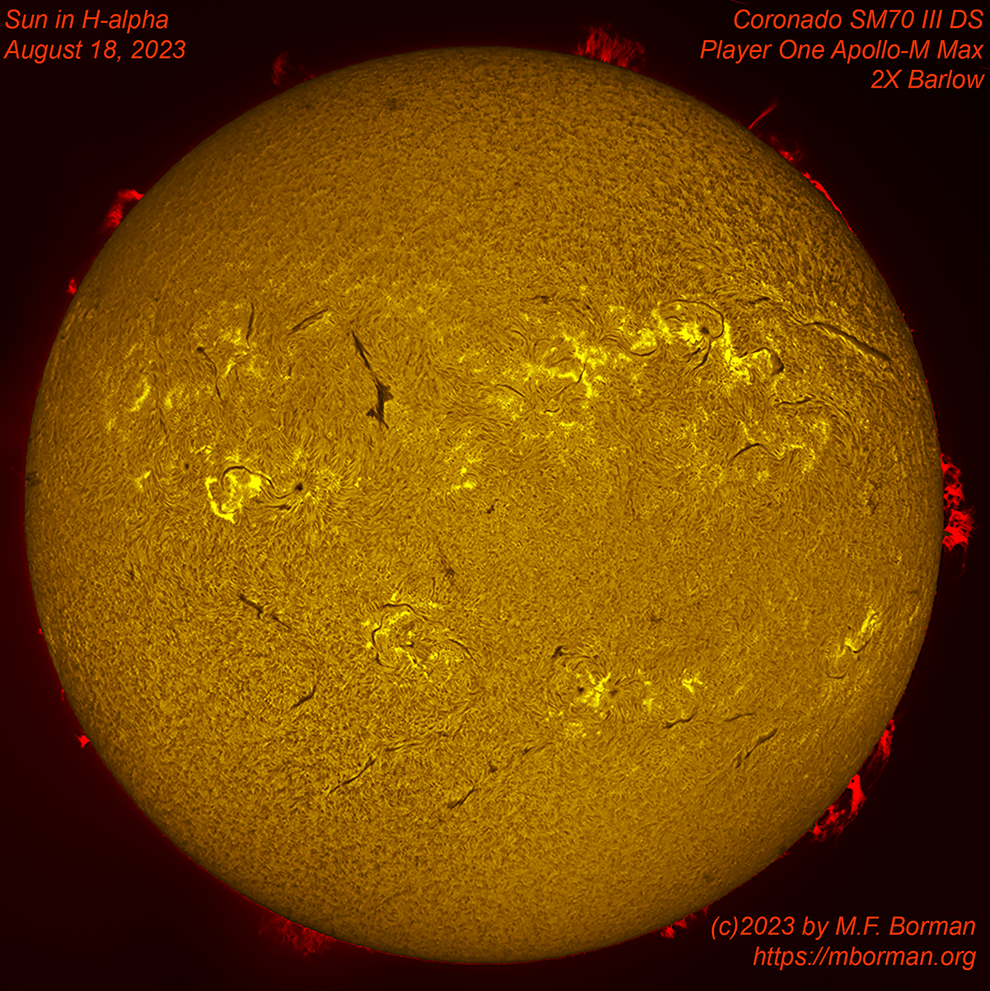Solar disk in h-alpha 08/18/2023