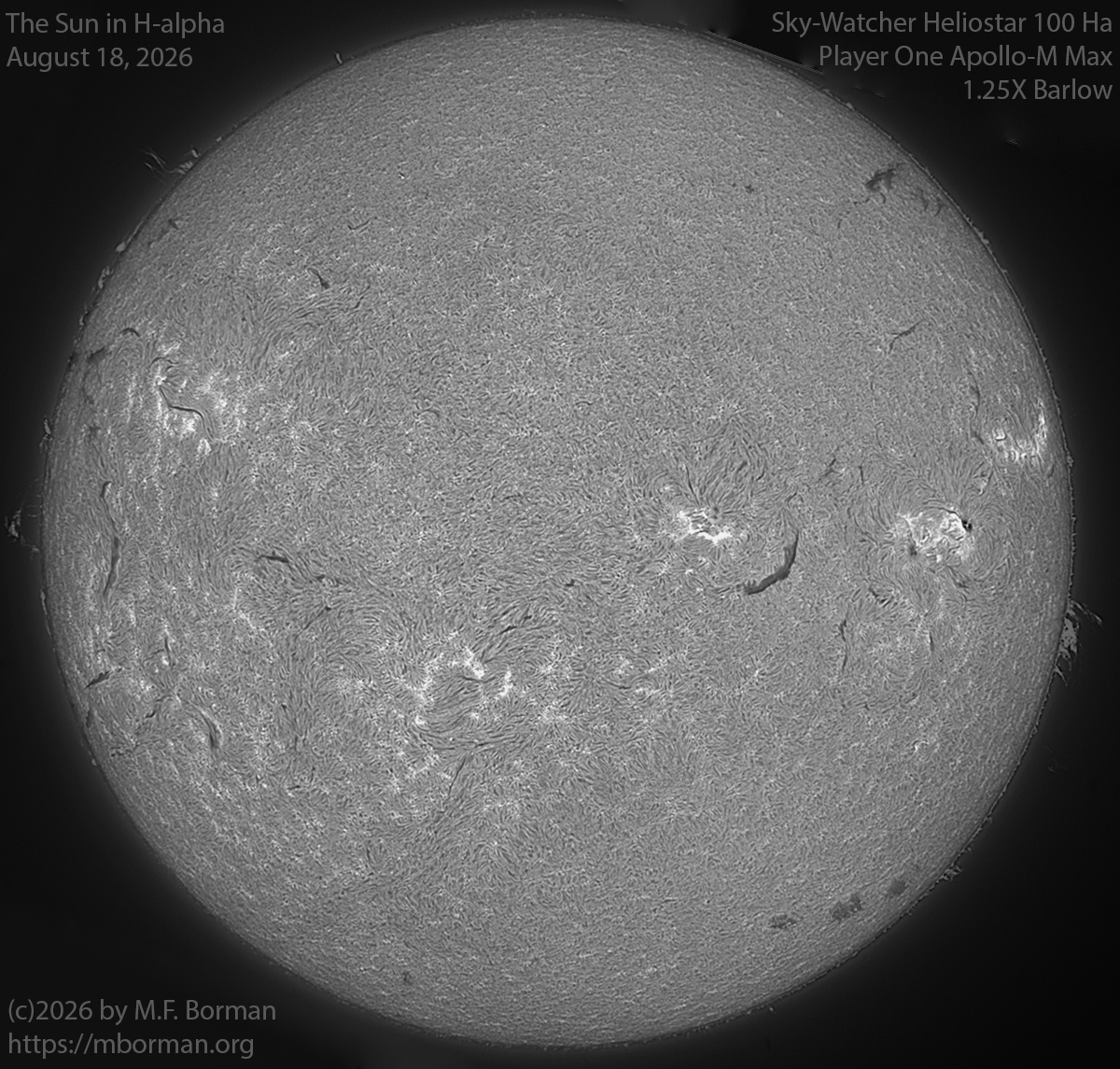 Solar image in h-alpha 08/18/26