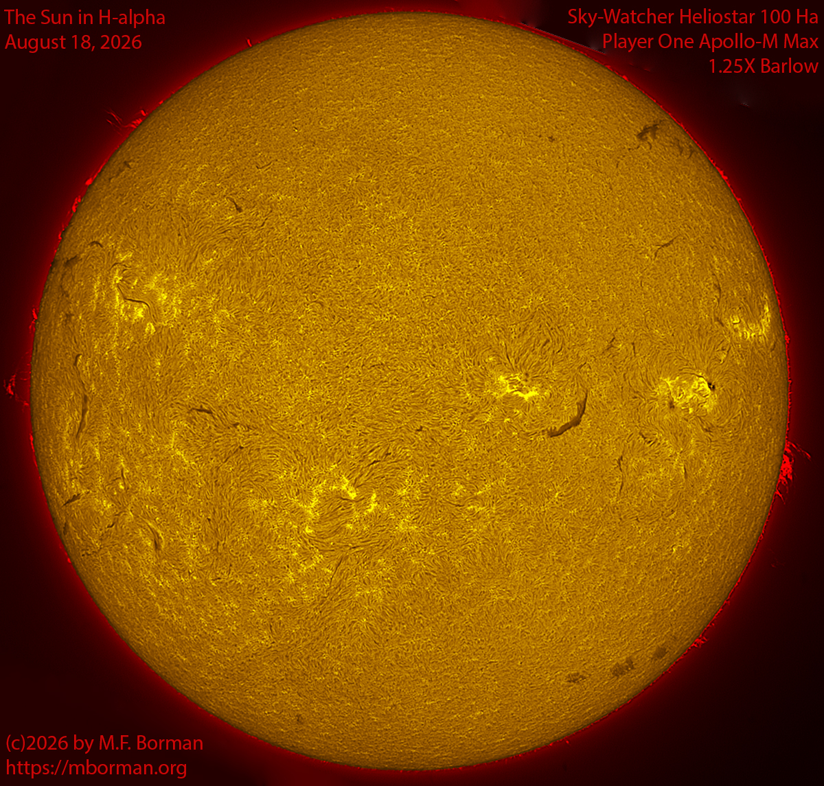 Solar image in h-alpha 08/18/26