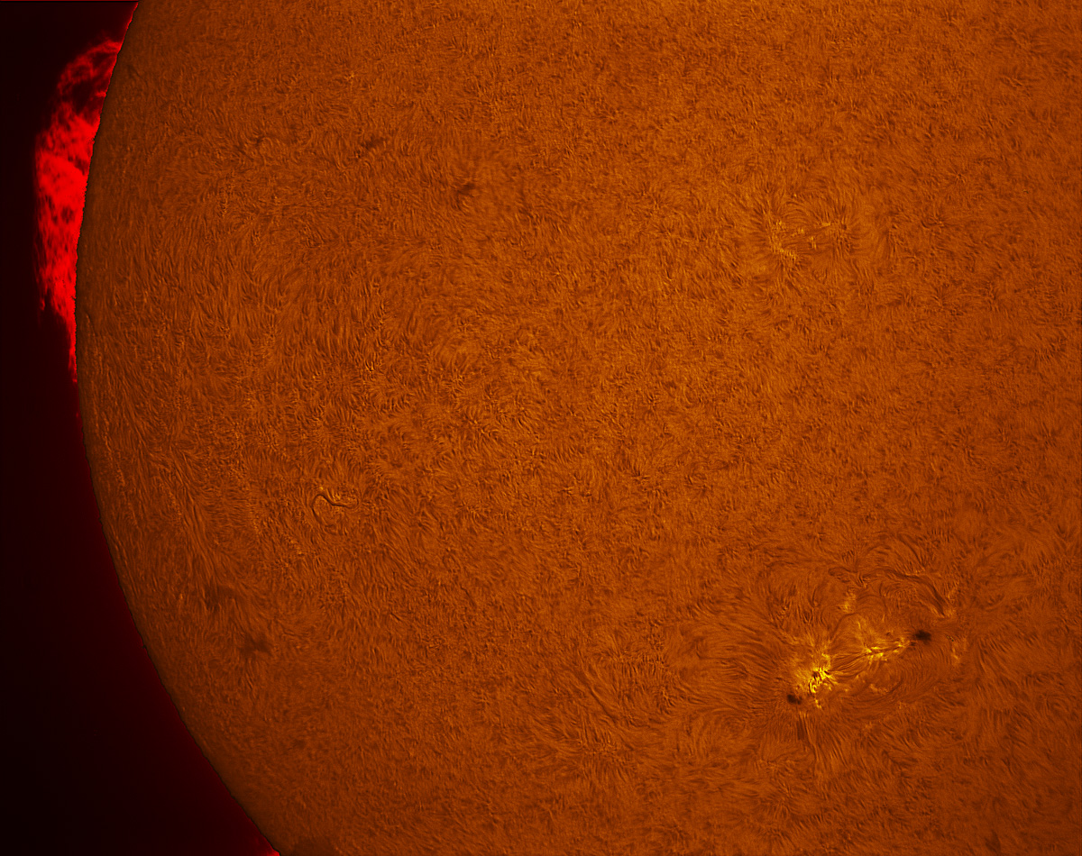Sunspot 2403 in h-alpha 08/22/2015