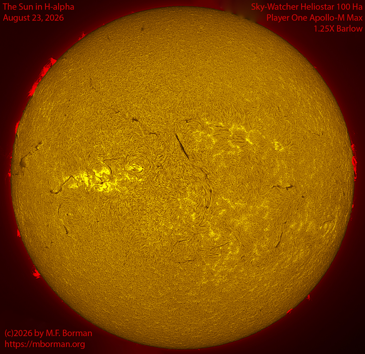 Solar image in h-alpha 08/23/26