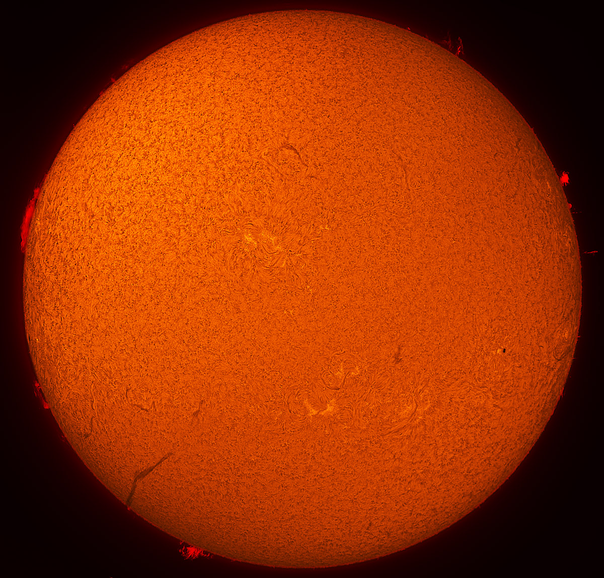 Solar Disk in h-alpha 08/24/2013