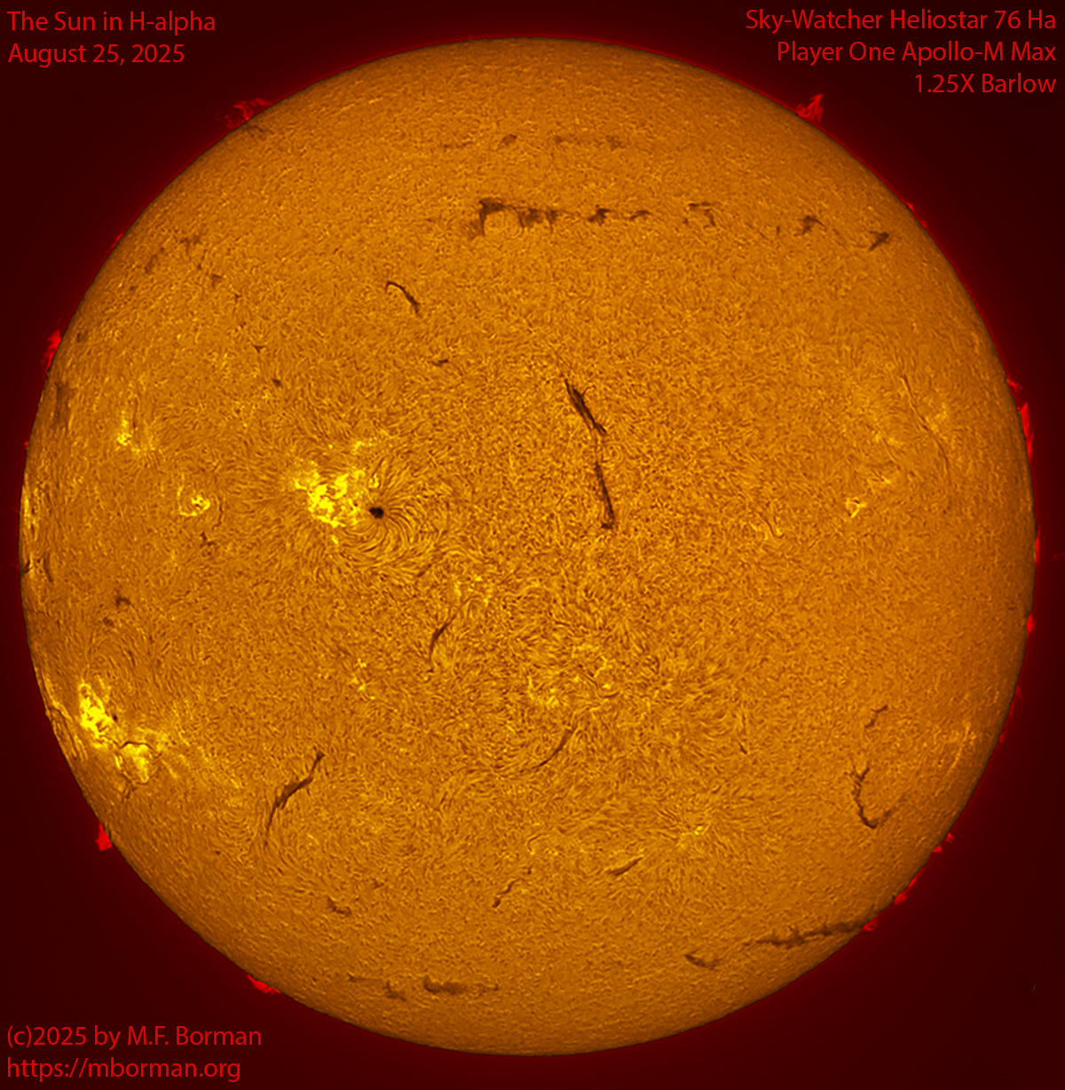 Solar image in h-alpha 08/25/25