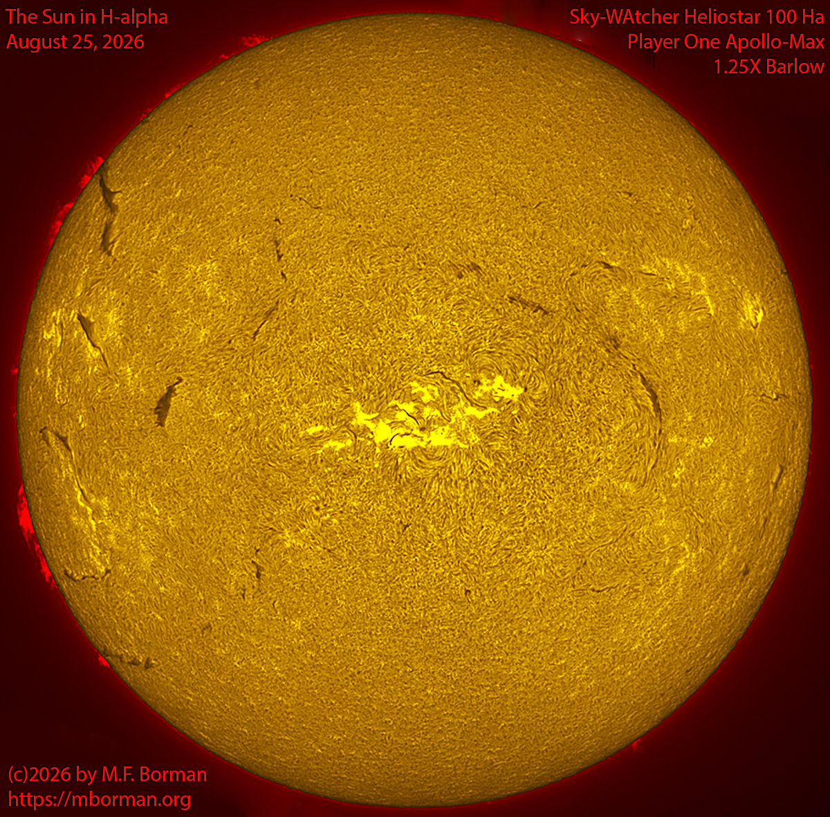 Solar image in h-alpha 08/25/26