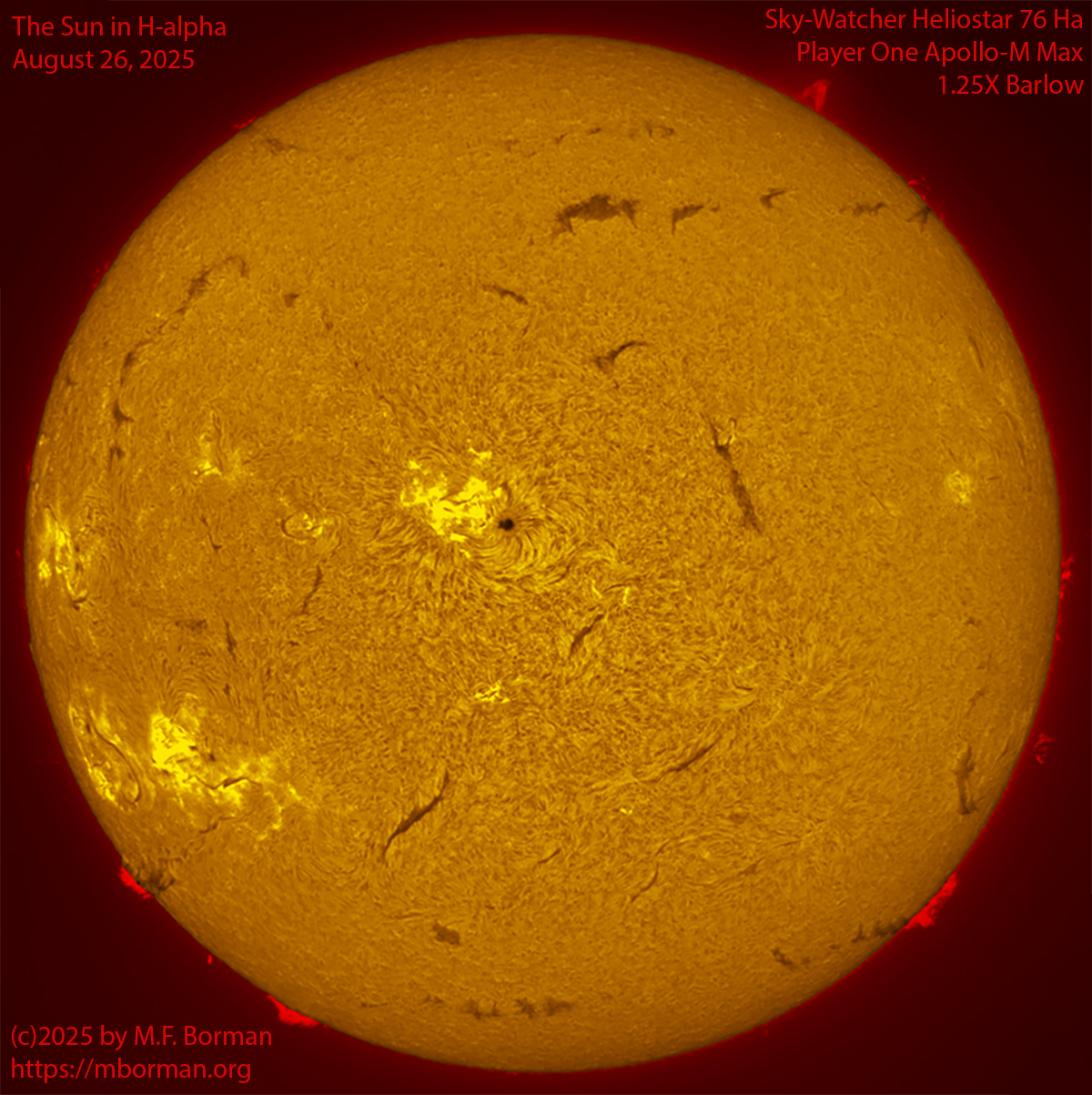 Solar image in h-alpha 08/26/25