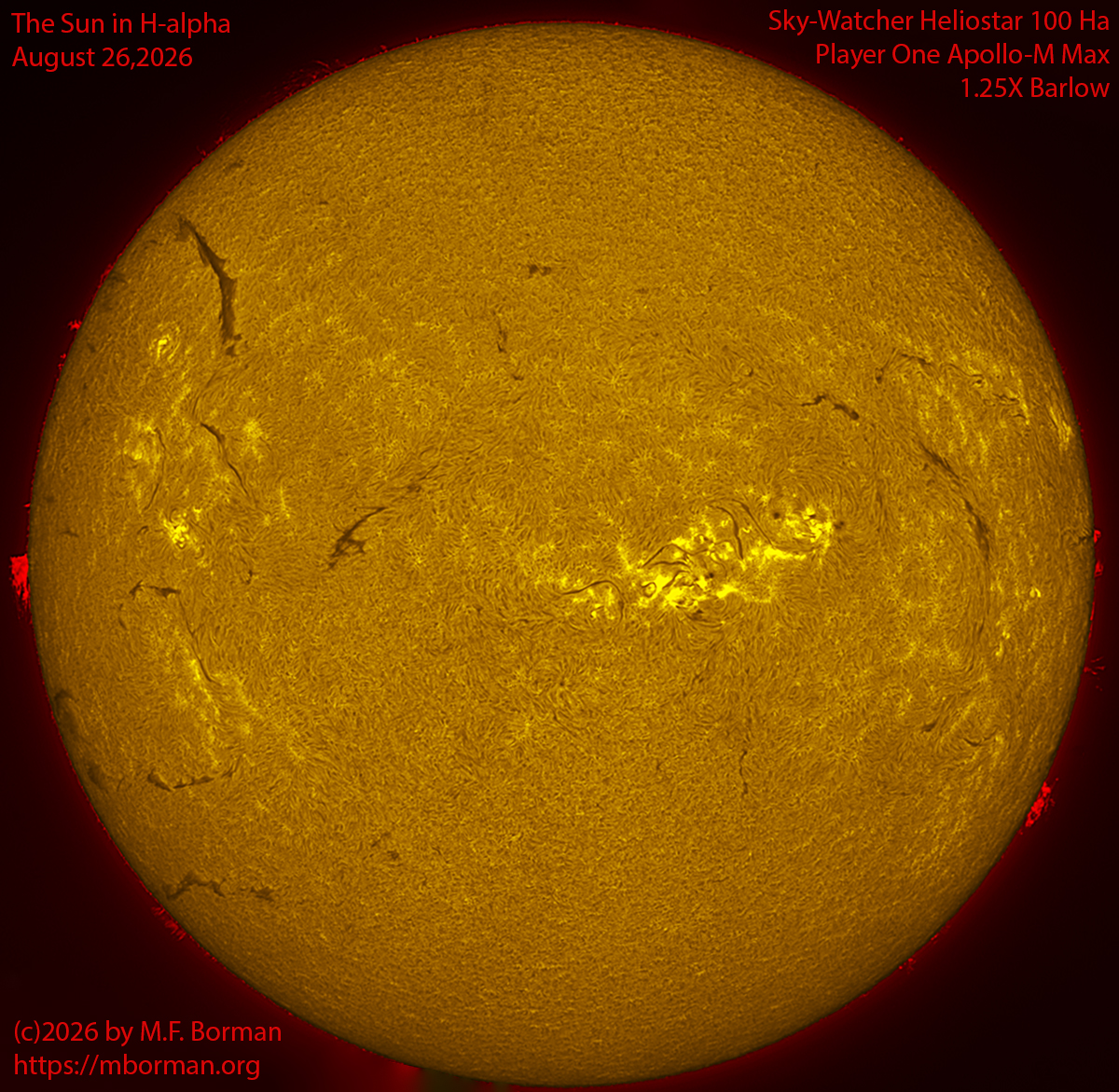 Solar image in h-alpha 08/26/26