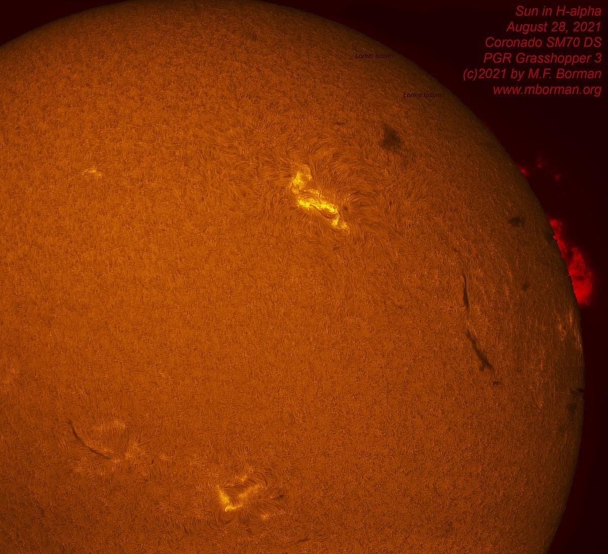 Active region and prominence in h-alpha 08/28/2021