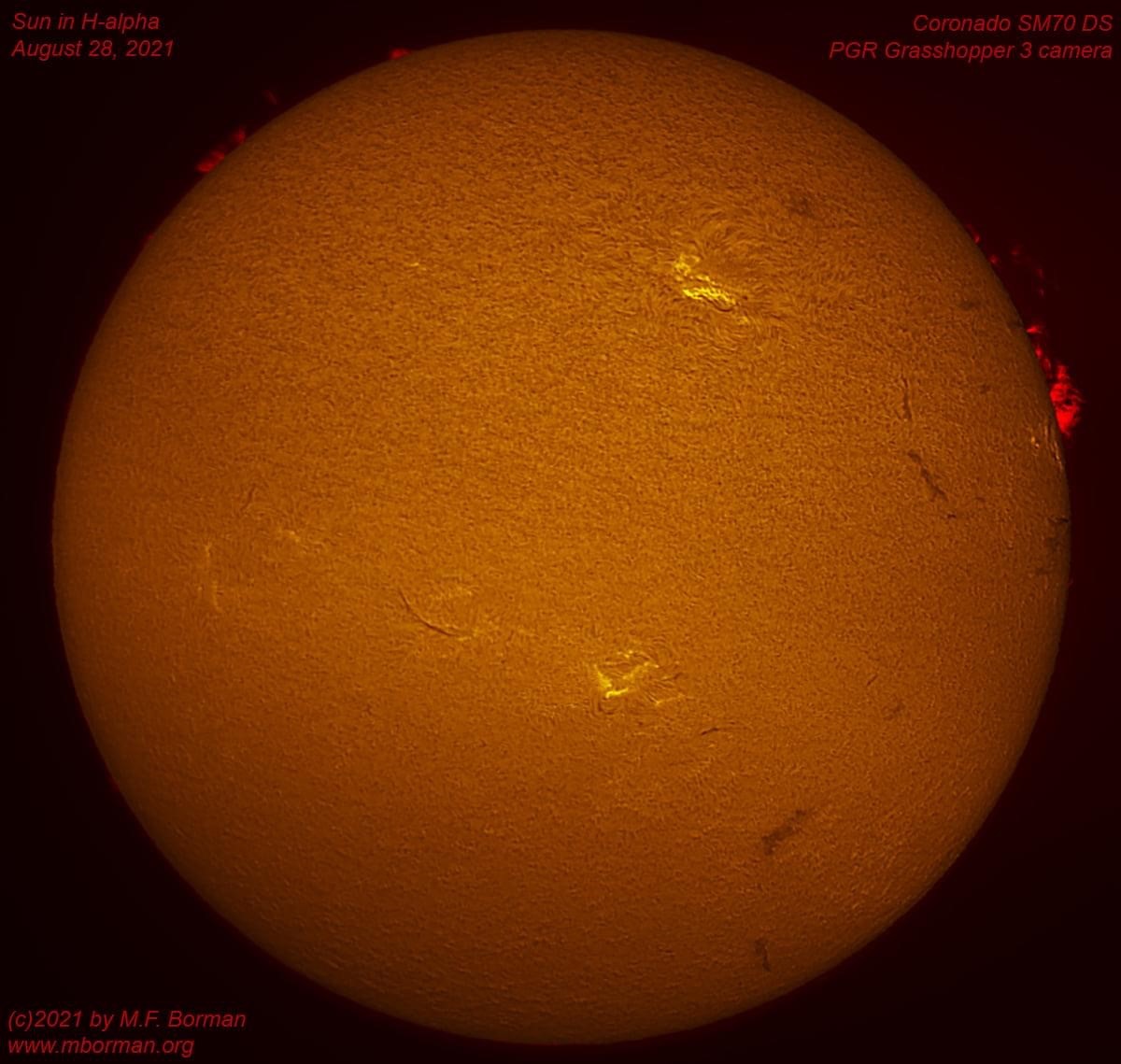 Solar disk in h-alpha 08/28/2021