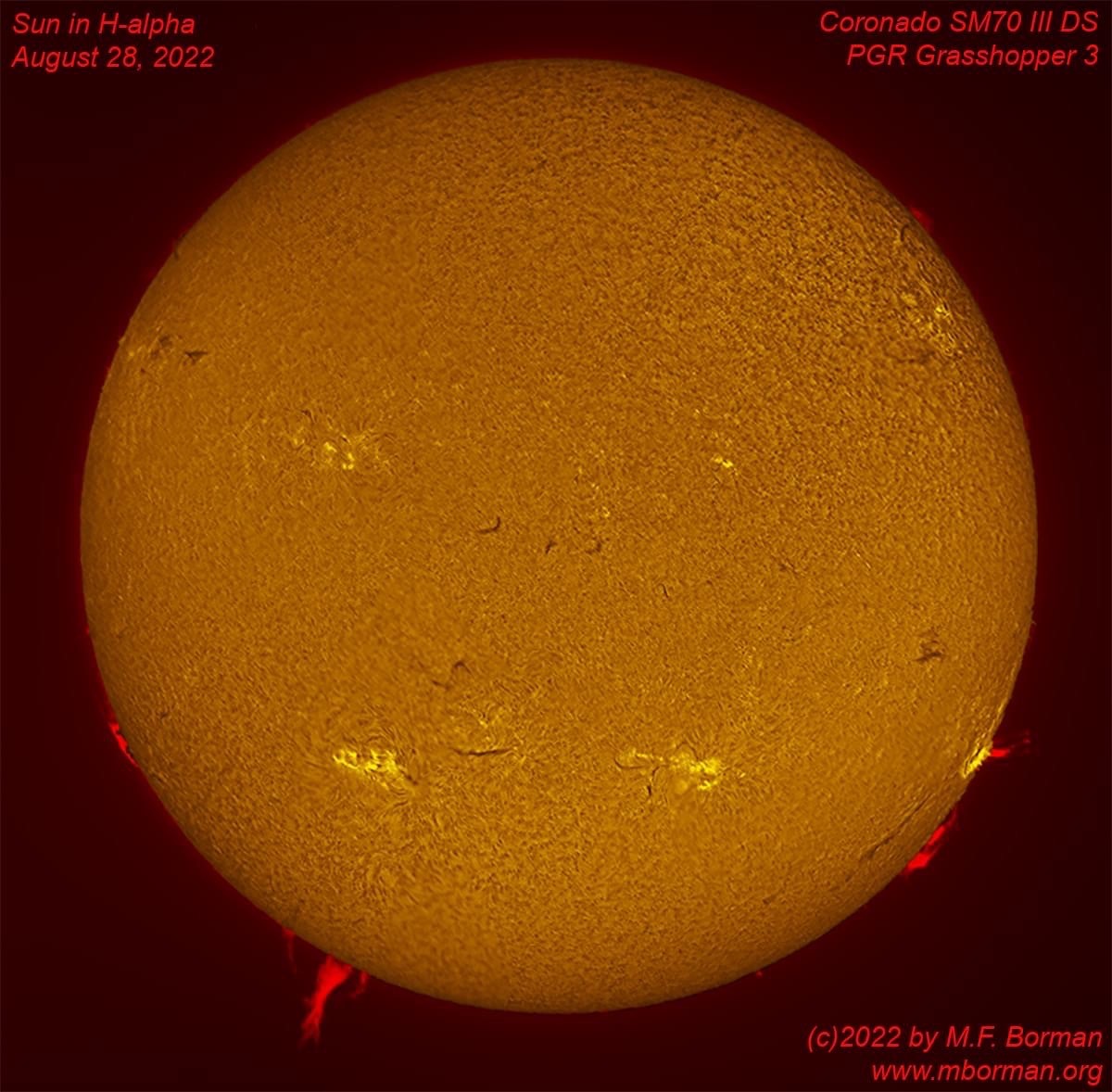 Solar disk in h-alpha 08/28/2022