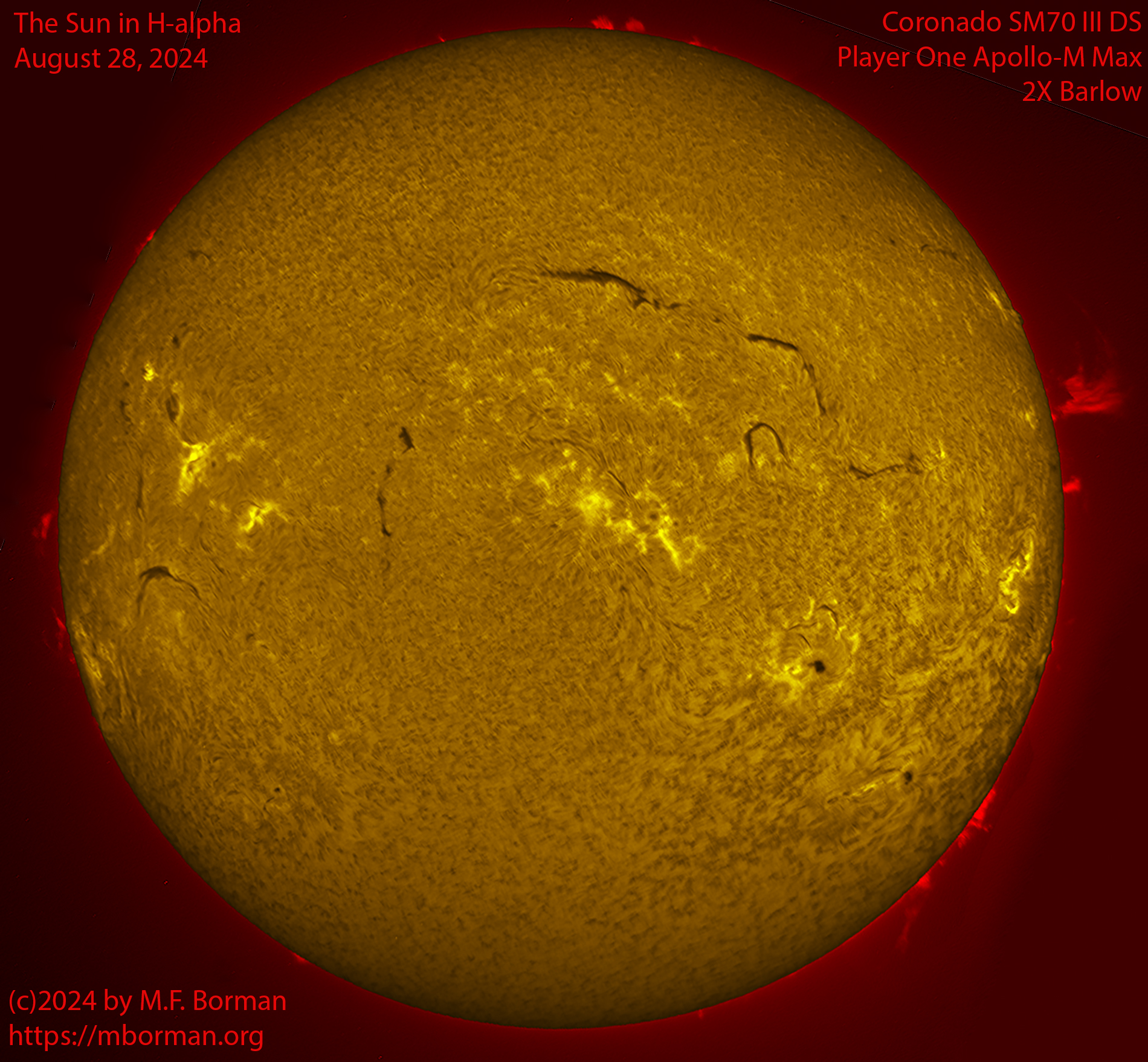 Solar image in h-alpha 08/28/24