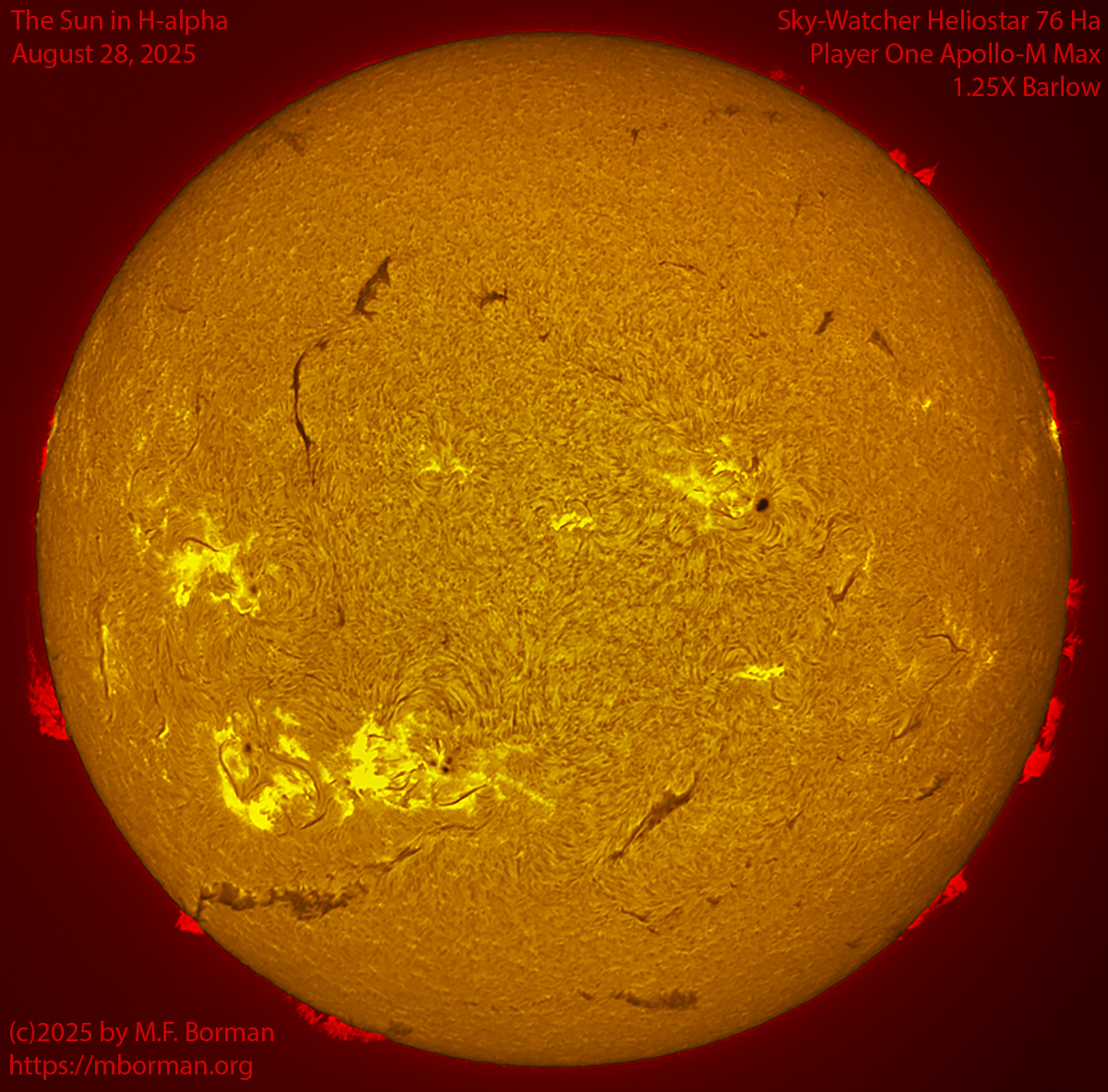 Solar image in h-alpha 08/28/25