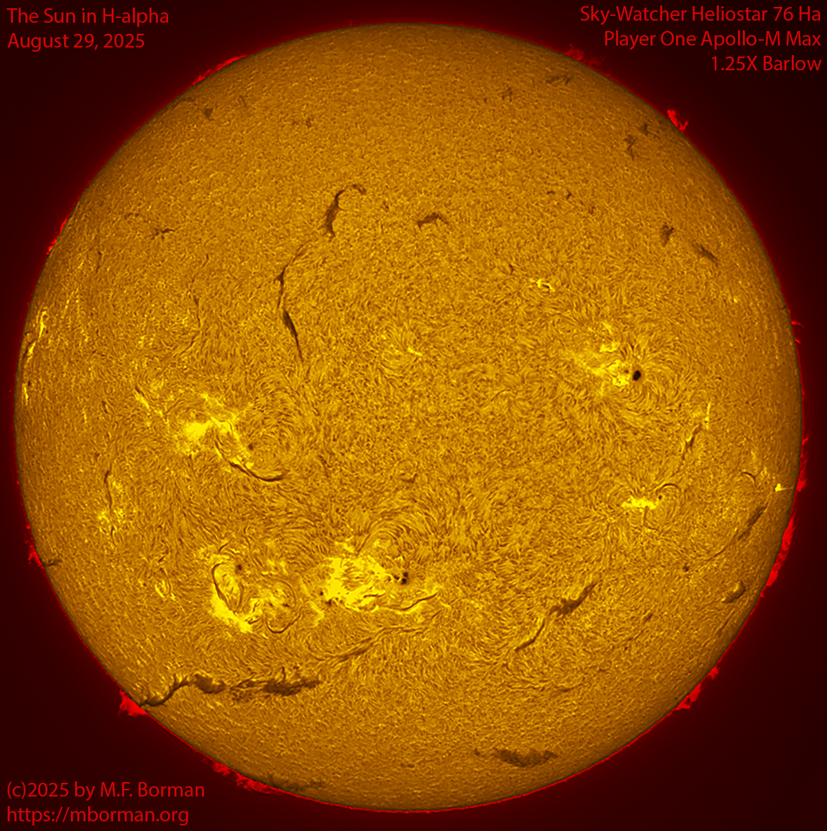 Solar image in h-alpha 08/29/25