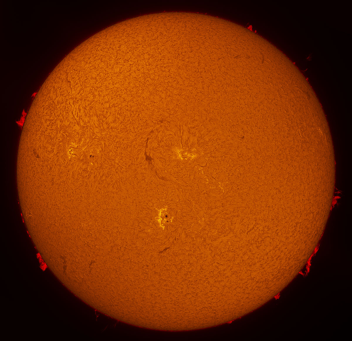 Solar Disk in h-alpha 08/30/2013