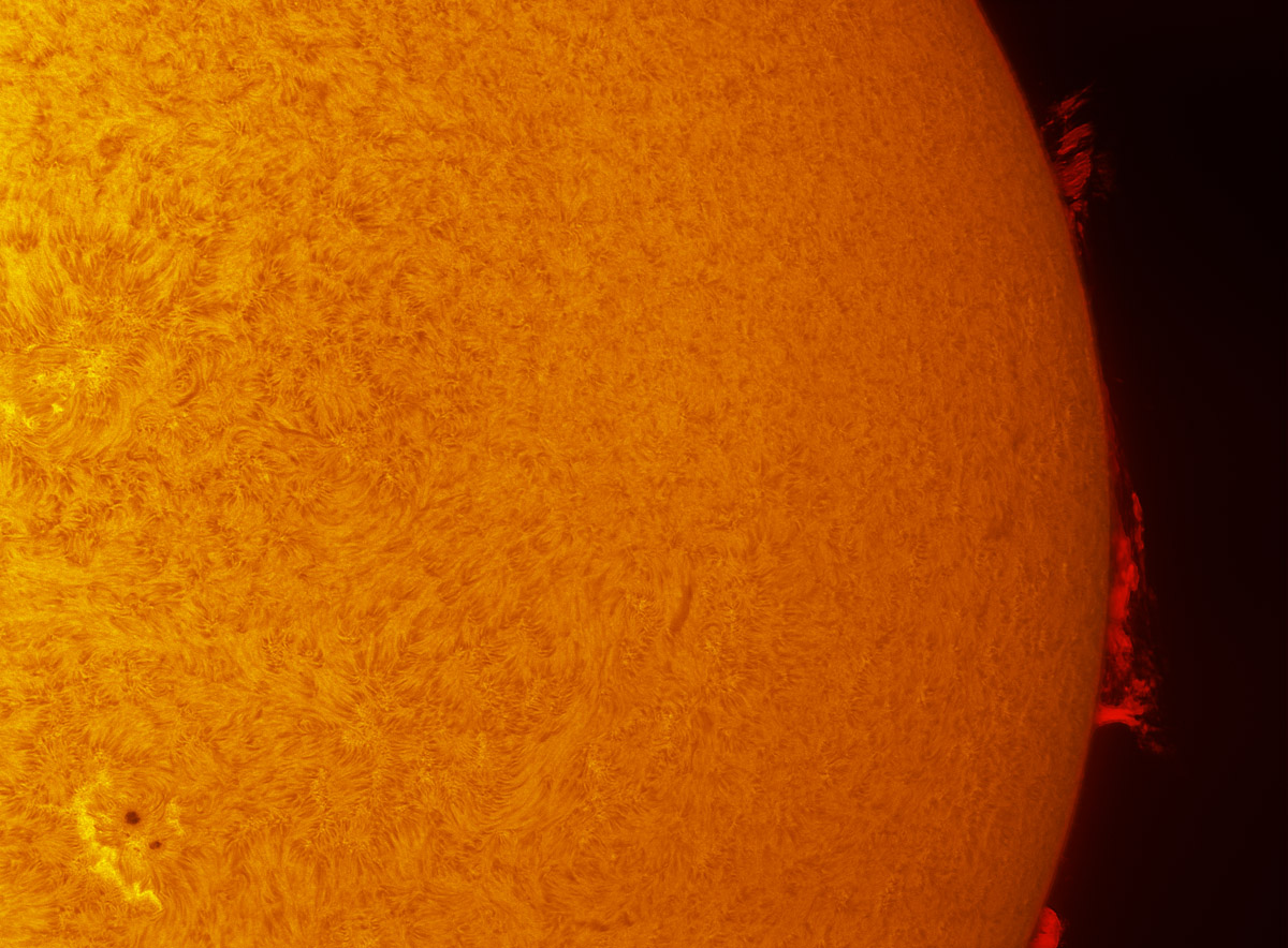 Solar prominences in h-alpha 08/30/2013