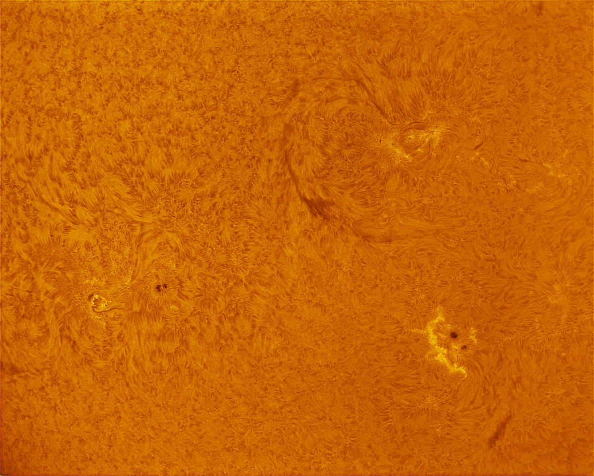 Sunspots 1834, 1835, and 1836 in h-alpha 08/30/2013