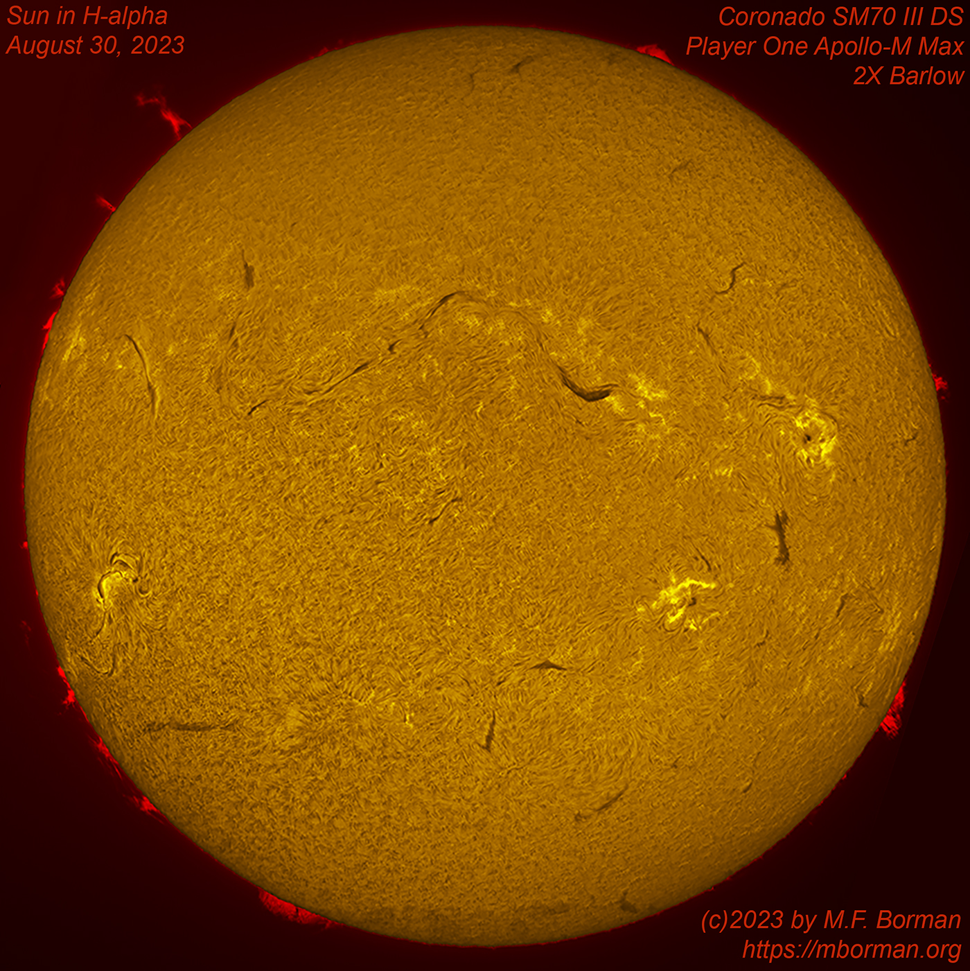 Solar disk in h-alpha 08/30/2023