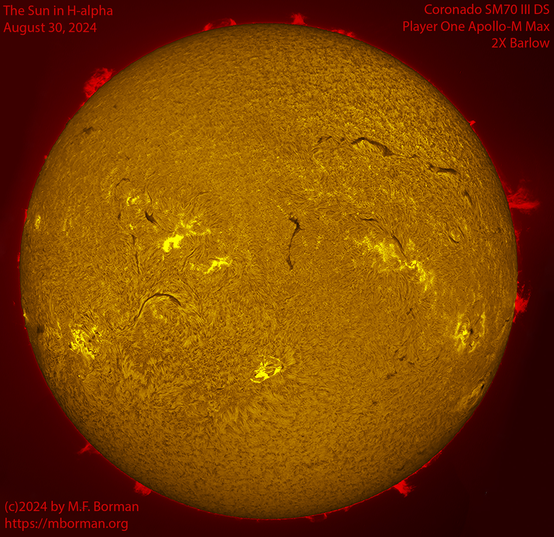 Solar image in h-alpha 08/30/24